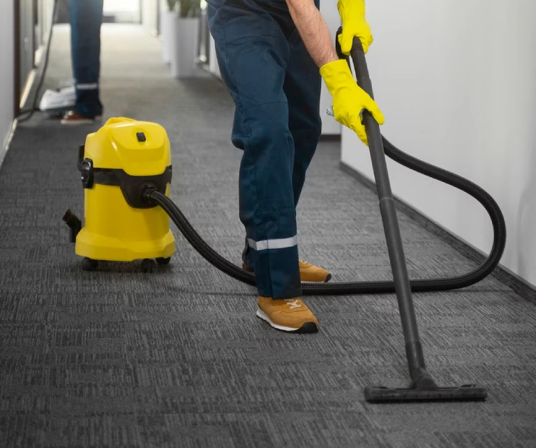 Professional  Cleaning